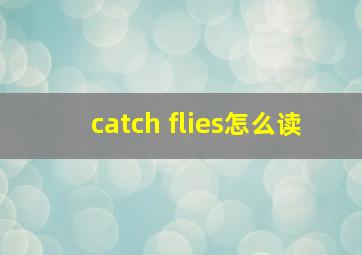 catch flies怎么读